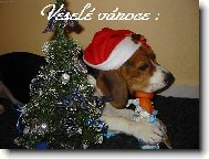 Veselé vánoce!