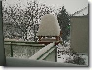Vzpomínka na zimu
