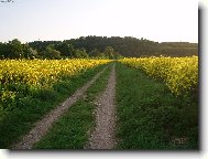 konečně jaro !