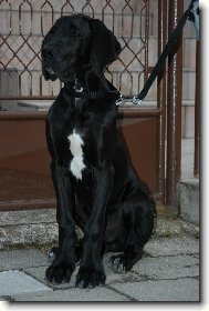 Výstavní posed :o)