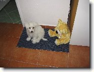 čačinka:)