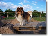 Vyhlídka