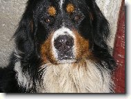 Náš maličký