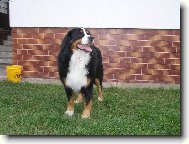 Náš fešák
