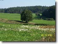 Dlouhý život