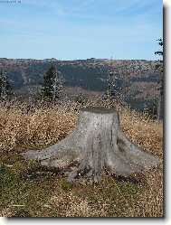 Krkonoše III