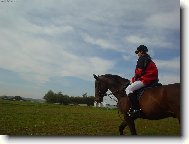 závody