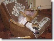 Siesta na gauči