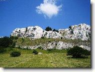 Pálava