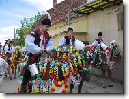 Jízda králů 2006