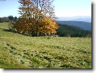 Kamarádi